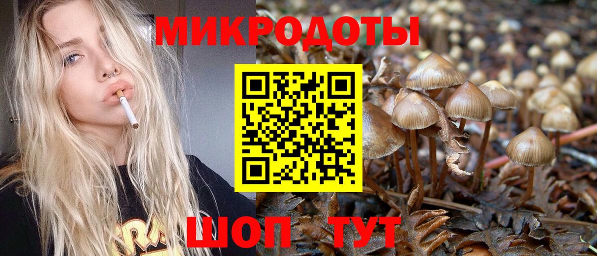 Галлюциногенные грибы Psilocybe Оренбург