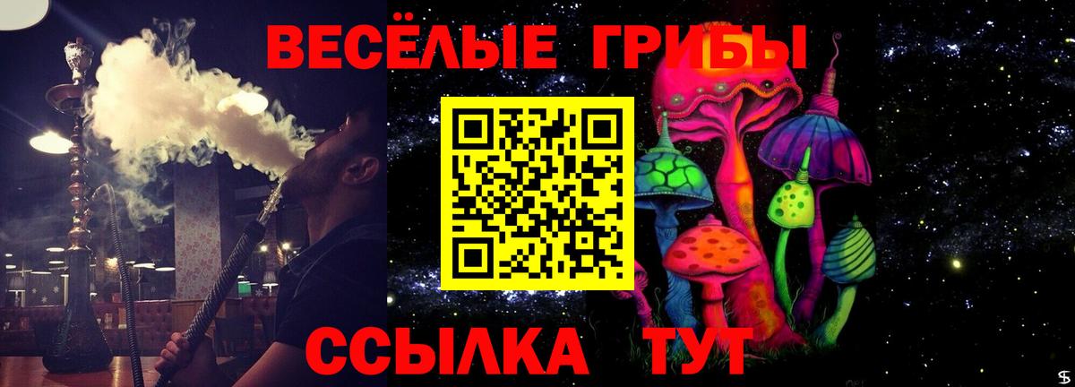 Галлюциногенные грибы мицелий  Вход с VPN  Оренбург 